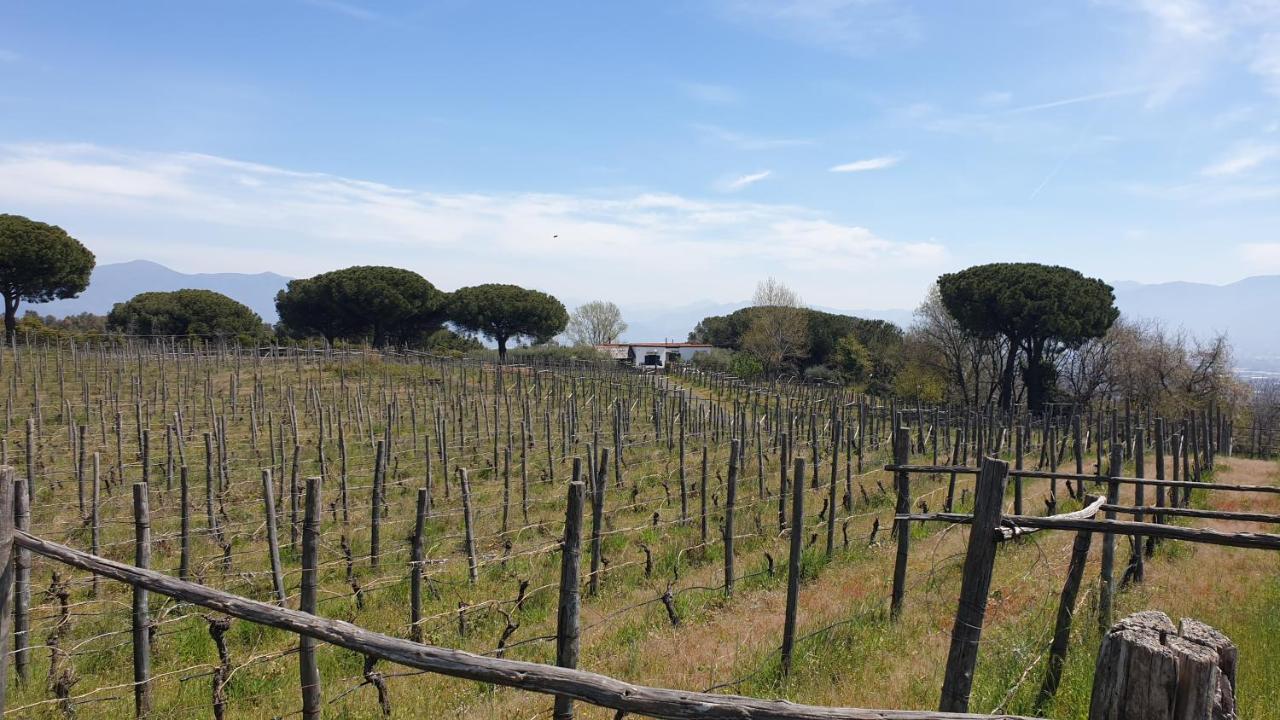Beb Casale Pompei Rendine Villa Boscotrecase Екстериор снимка