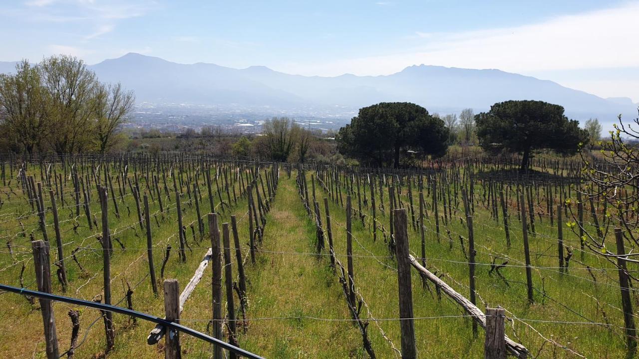 Beb Casale Pompei Rendine Villa Boscotrecase Екстериор снимка