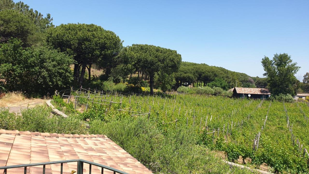 Beb Casale Pompei Rendine Villa Boscotrecase Екстериор снимка