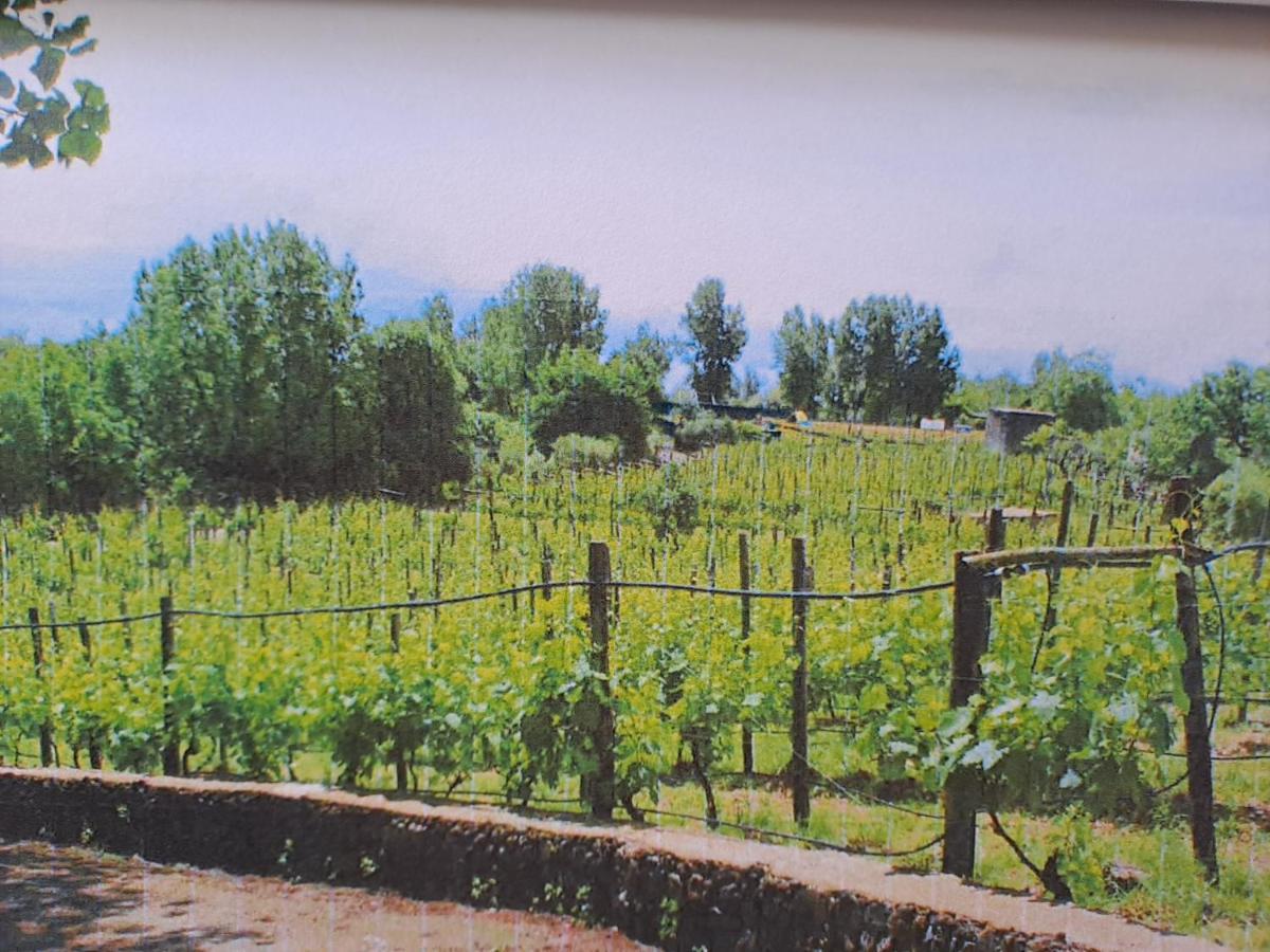 Beb Casale Pompei Rendine Villa Boscotrecase Екстериор снимка