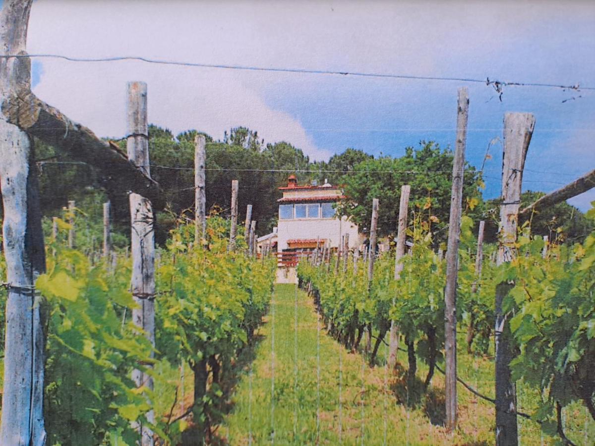 Beb Casale Pompei Rendine Villa Boscotrecase Екстериор снимка